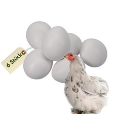 6x Legeeier Kunsteier Nesteier