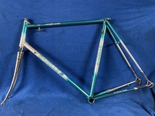 Stalen Gazelle Champion