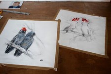 Original Zeichnung auf Papier