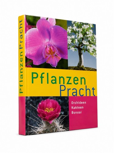 Pflanzenpracht orchideen - pflanzenpracht,