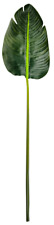Deko-Bananenblatt