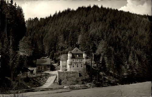 Schwarzenbach wald alte - wald,