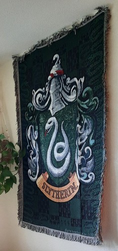 Harry potter slytherin - potter,