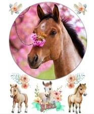 Pferde Essbar Wiesen Felder