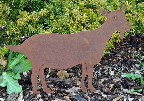 Edelrost ziege 38x48cm - ziege,