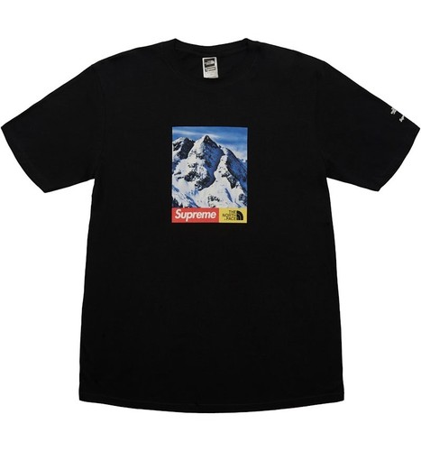 Supreme the north face - north,