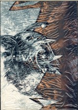 Nephilim Spielleiterschirm