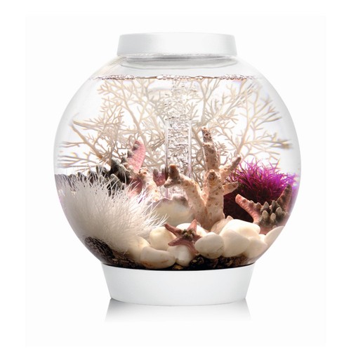 Oase biorb classic - oase,