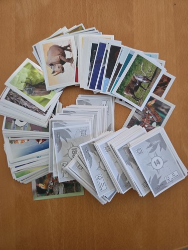 Rewe sammelbilder was ist - ,