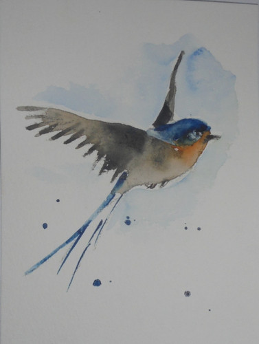 Orig aquarell schwalbe - orig.aquarell, "schwalbe"