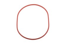 Polti Dichtung Boiler Oval