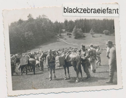 Foto wk2 gebirgsjäger - 50--,