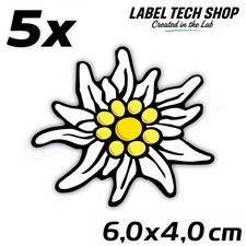 5x Edelweiß Aufkleber 🌼