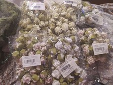 50x Rosenblüten Konvolut Hochzeit  Streudeko Haarschmuck Tischdeko versch Farbe