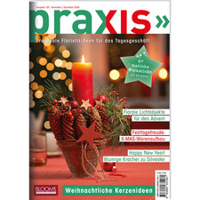 PRAXIS Nr. 120: Profitable Floristikideen für das Tagesgeschäft (PRAXIS - D ...