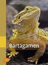 Bartagamen von Marlies Busch |