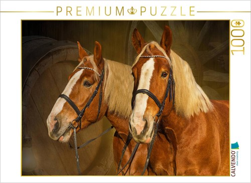 Calvendo puzzle noriker 1000 - calvendo,