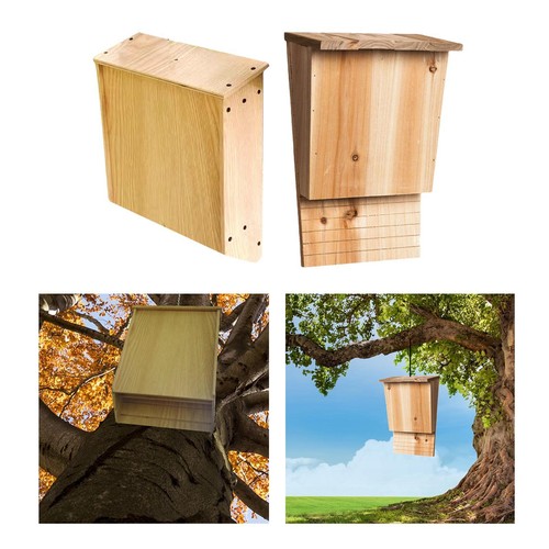 Große box zubehör für - ,, die