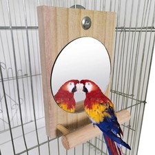 Vogelspielzeug Holz Barsch