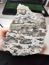 XL Oceanjaspis WOW Mineralien MineralSteine Madagaskar TOLLE MASERUNG Poliert