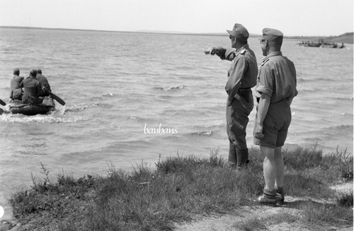 Original negativ negative - original, negativ/negative
