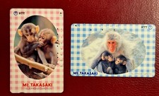 JAPAN___Affen monkeys Mt