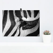 JUNIWORDS Poster "Zebra Eye"