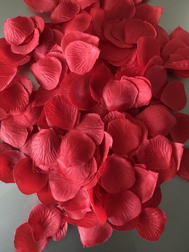 500 rosenblätter - ,