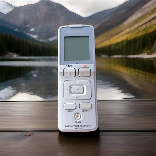 Olympus 510 digital - olympus, voice