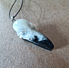 Gothic Rabenschädel Kette