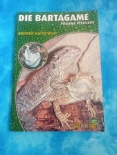 Die Bartagame von Andree