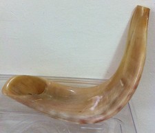 Shofar widder widderhorn - shofar,