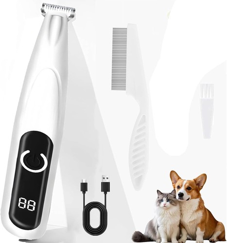 Haustier hund katze - hund,