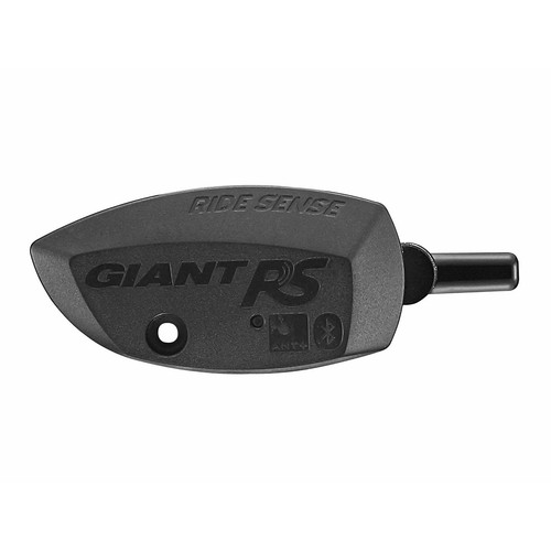 Giant ridesense ant und - ridesense, ant+
