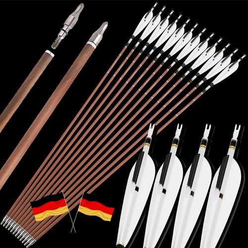 12x 31zoll carbonpfeile - 12x,
