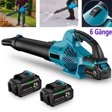 6 Gang Akku Laubbläser