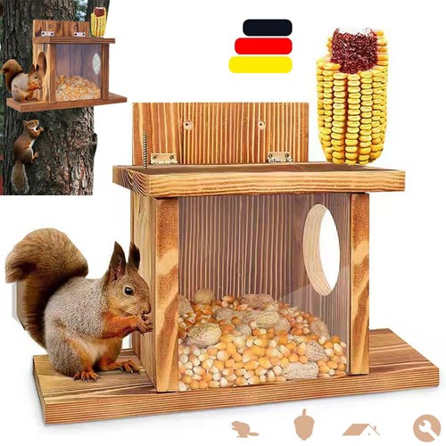 Eichhörnchen futterhaus - eichhörnchen,