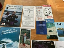 Lachs Angeln in Norwegen und Mörrum