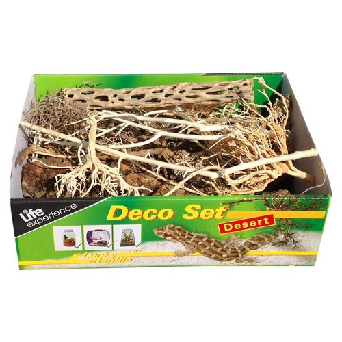 Lucky reptile terrarium - lucky,