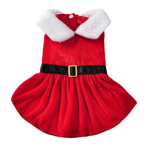Weihnachten haustier kostüm - haustier,