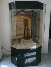 Panorama Glas Terrarium