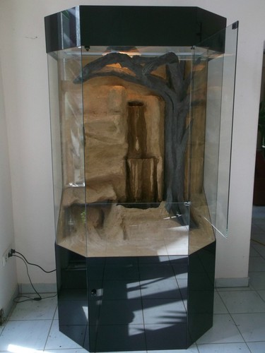 Panorama glas terrarium - panorama,