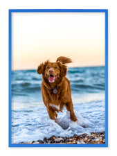 Alurahmen Plakatrahmen Bilderrahmen 70x100cm 100x70cm  Puzzle-Rahmen