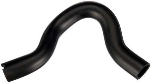Schlauch