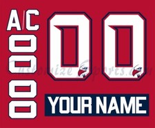 Adler Mannheim Customized