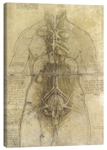 Leinwandbild anatomie einer - leinwandbild,