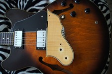 Pickguard Ibanez aus Holz