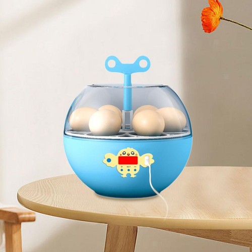 Eier inkubator mini - eier,