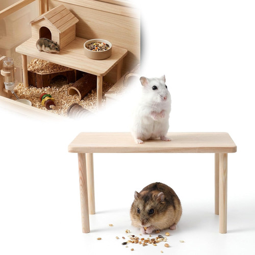 Hamster plattform - hamster, plattform,hamster