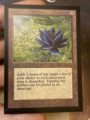 Black lotus international - lotus, ◇